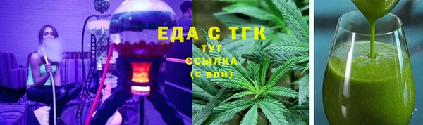 хмурый Арсеньев