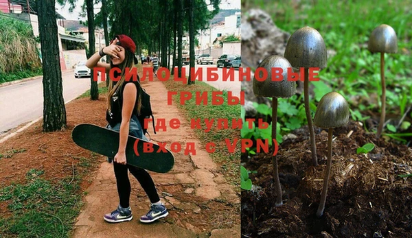 хмурый Арсеньев