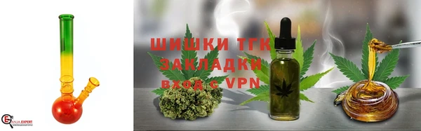 хмурый Арсеньев