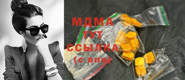 хмурый Арсеньев