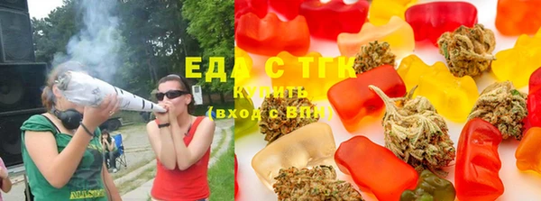 хмурый Арсеньев