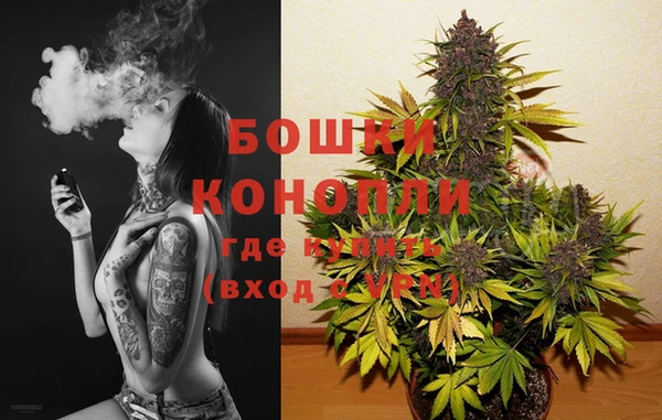 хмурый Арсеньев