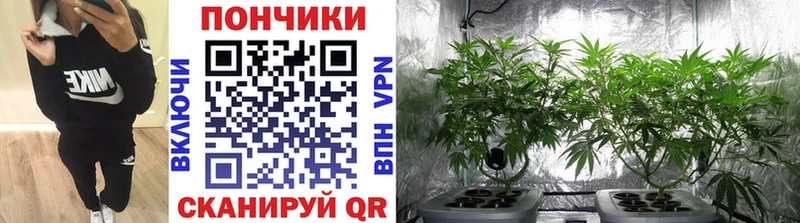 как найти наркотики  Инта  Шишки марихуана план 